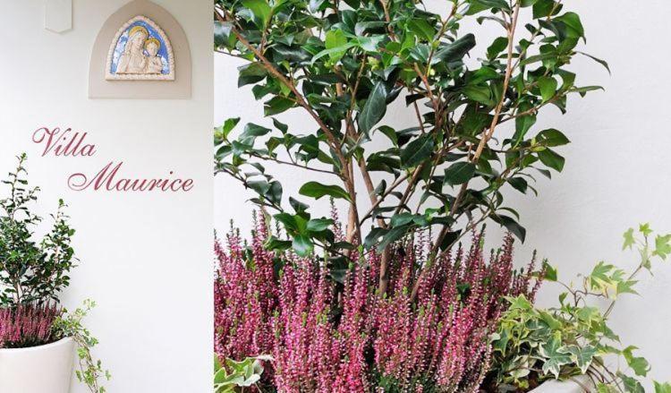 Residence Villa Maurice Стреза Екстер'єр фото